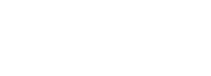 Logo-nouvelle-aquitaine